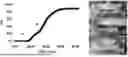 Fig. 01 - FAST DISSOLVING SOFTGEL CAPSULES