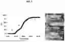 Fig. 02 - FAST DISSOLVING SOFTGEL CAPSULES