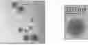 Fig. 01 - METHOD FOR THE PREPARATION OF HYBRID POLYMERIC NANOPARTICLES FOR THE RELEASE OF OLIGONUCLEOTIDE DRUGS IN PHARMACOLOGICAL THERAPIES FOR REGENERATIVE, CURATIVE, AND PREVENTIVE PURPOSES