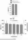 Fig. 03 - METHOD FOR THE PREPARATION OF HYBRID POLYMERIC NANOPARTICLES FOR THE RELEASE OF OLIGONUCLEOTIDE DRUGS IN PHARMACOLOGICAL THERAPIES FOR REGENERATIVE, CURATIVE, AND PREVENTIVE PURPOSES
