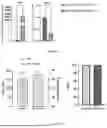 Fig. 08 - METHOD FOR THE PREPARATION OF HYBRID POLYMERIC NANOPARTICLES FOR THE RELEASE OF OLIGONUCLEOTIDE DRUGS IN PHARMACOLOGICAL THERAPIES FOR REGENERATIVE, CURATIVE, AND PREVENTIVE PURPOSES