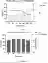 Fig. 09 - METHOD FOR THE PREPARATION OF HYBRID POLYMERIC NANOPARTICLES FOR THE RELEASE OF OLIGONUCLEOTIDE DRUGS IN PHARMACOLOGICAL THERAPIES FOR REGENERATIVE, CURATIVE, AND PREVENTIVE PURPOSES