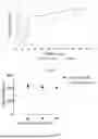 Fig. 10 - METHOD FOR THE PREPARATION OF HYBRID POLYMERIC NANOPARTICLES FOR THE RELEASE OF OLIGONUCLEOTIDE DRUGS IN PHARMACOLOGICAL THERAPIES FOR REGENERATIVE, CURATIVE, AND PREVENTIVE PURPOSES