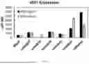 Fig. 03 - NANOPARTICLES AND METHODS OF PRODUCTION FOR THE ENCAPSULATION OF NUCLEIC ACIDS