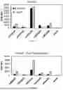 Fig. 16 - NANOPARTICLES AND METHODS OF PRODUCTION FOR THE ENCAPSULATION OF NUCLEIC ACIDS