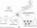 Fig. 02 - Methods of fabricating carriers for targeted delivery to a host