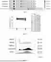 Fig. 02 - CHIMERIC ANTIGEN RECEPTOR TARGETING GPRC5D AND APPLICATION THEREOF