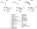 Fig. 01 - REEXPRESSION OF HNF4A TO ALLEVIATE CANCER-ASSOCIATED CACHEXIA