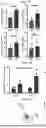 Fig. 09 - REEXPRESSION OF HNF4A TO ALLEVIATE CANCER-ASSOCIATED CACHEXIA