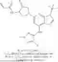 Fig. 62 - CONJUGATES COMPRISING COVALENT BINDERS FOR TARGETING INTRACELLULAR PROTEINS