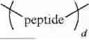 Fig. 118 - INJECTABLE TOUGH AND VISCOELASTIC BTA HYDROGEL