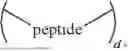 Fig. 132 - INJECTABLE TOUGH AND VISCOELASTIC BTA HYDROGEL