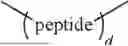 Fig. 47 - INJECTABLE TOUGH AND VISCOELASTIC BTA HYDROGEL