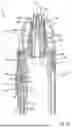 Fig. 06 - FLUID DISPENSING DEVICE