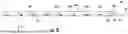 Fig. 08 - DECOMPRESSION NEEDLE ASSEMBLY
