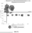 Fig. 09 - METHODS FOR CHARACTERIZING EXPANDABLE PERLITE, ARTICLES CONTAINING EXPANDABLE PERLITE AND METHODS FOR MAKING SAME