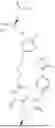 Fig. 3206 - STAT DEGRADERS AND USES THEREOF