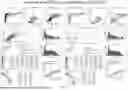 Fig. 43 - BASE EDITORS AND USES THEREOF