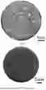 Fig. 03 - ALUMINIUM-TITANIUM-NIOBIUM-BORON INTERMEDIATE ALLOY AND PREPARATION METHOD AND APPLICATION THEREOF