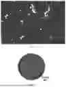 Fig. 06 - ALUMINIUM-TITANIUM-NIOBIUM-BORON INTERMEDIATE ALLOY AND PREPARATION METHOD AND APPLICATION THEREOF