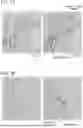 Fig. 06 - ALPHA + BETA TITANIUM ALLOY SHAPE AND METHOD FOR MANUFACTURING THE SAME