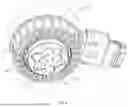 Fig. 09 - ELECTRIC OIL PUMP