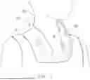 Fig. 02 - Ergonomic neck fan