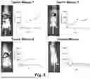 Fig. 08 - METHODS AND COMPOSITIONS FOR SYNTHETIC BIOMARKERS