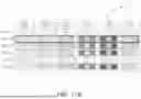 Fig. 16 - MEMORY DEVICE WITH MULTIPLE PLANE FUNCTIONALITIES