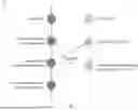 Fig. 08 - PROCESSING A CLUSTER OF CONVERSATIONS USING NEURAL NETWORKS