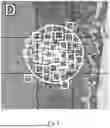 Fig. 09 - SYSTEM AND METHOD FOR TUMOR CHARACTERIZATION