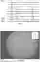 Fig. 02 - METHOD, APPARATUS, DEVICE AND MEDIUM FOR FUR RENDERING