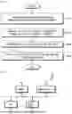Fig. 06 - DIGITAL APPARATUS AND APPLICATION FOR CANCER CACHEXIA THERAPY AND METHODS OF USE THEREOF