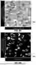 Fig. 12 - CLASSIFICATION BASED ON CHARACTERIZATION ANALYSIS METHODS AND SYSTEMS