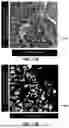 Fig. 14 - CLASSIFICATION BASED ON CHARACTERIZATION ANALYSIS METHODS AND SYSTEMS