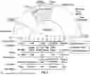 Fig. 06 - METHOD OF ESTABLISHING A DECISION SUPPORT ENGINE FOR MEDICAL EQUIPMENT