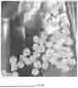 Fig. 05 - COMPOSITION FOR FORMING ANODE OF LITHIUM SECONDARY BATTERY