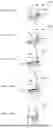 Fig. 12 - INSULATOR, STATOR, AND MOTOR