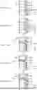 Fig. 13 - INSULATOR, STATOR, AND MOTOR