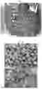Fig. 02 - ALTERNATIVE PROTEIN CRUMBLES