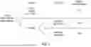 Fig. 02 - SYSTEM AND METHOD FOR ANALYZING GENE EXPRESSION USING DIFFUSION WEIGHTED MAGNETIC RESONANCE IMAGING (MRI)
