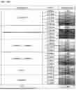 Fig. 22 - STABLE FORMULATIONS OF LIPID-ENCAPSULATED RNA