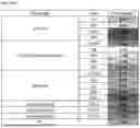 Fig. 26 - STABLE FORMULATIONS OF LIPID-ENCAPSULATED RNA