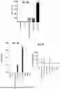 Fig. 07 - BACTERIAL COMPOSITIONS AND METHODS FOR TREATING CANCER AND IMMUNE DISEASES