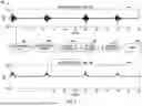 Fig. 10 - CRANIAL NERVE STIMULATOR WITH RESPIRATION CYCLE DETECTION