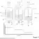 Fig. 02 - PROCESS FOR PURIFYING AND ENRICHING PROTEINS, NUCLEIC ACIDS OR VIRUSES USING AN AQUEOUS TWO-PHASE SYSTEM