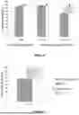 Fig. 04 - METHOD FOR RECYCLING SILICON PHOTOVOLTAIC MODULES
