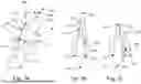 Fig. 08 - WINGSAIL STRUCTURE FOR A WIND-ASSISTED PROPULSION ARRANGEMENT OF A MARINE VESSEL