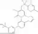 Fig. 167 - PYRIDINE-CONTAINING POLYCYCLIC DERIVATIVE, AND PREPARATION METHOD THEREFOR AND USE THEREOF