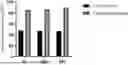 Fig. 01 - PREPARATION METHOD OF MESENCHYMAL STEM CELL (MSC) AND APPLICATION THEREOF IN KNEE PRODUCT